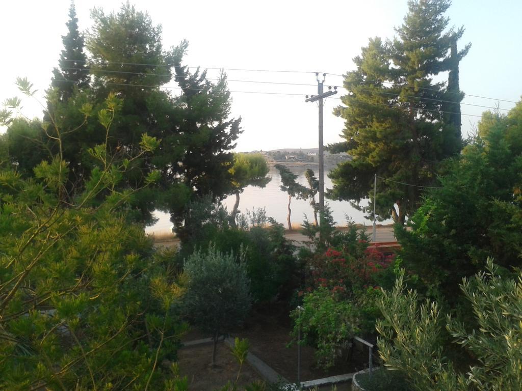 Elea Guesthouse Галаксиди Экстерьер фото