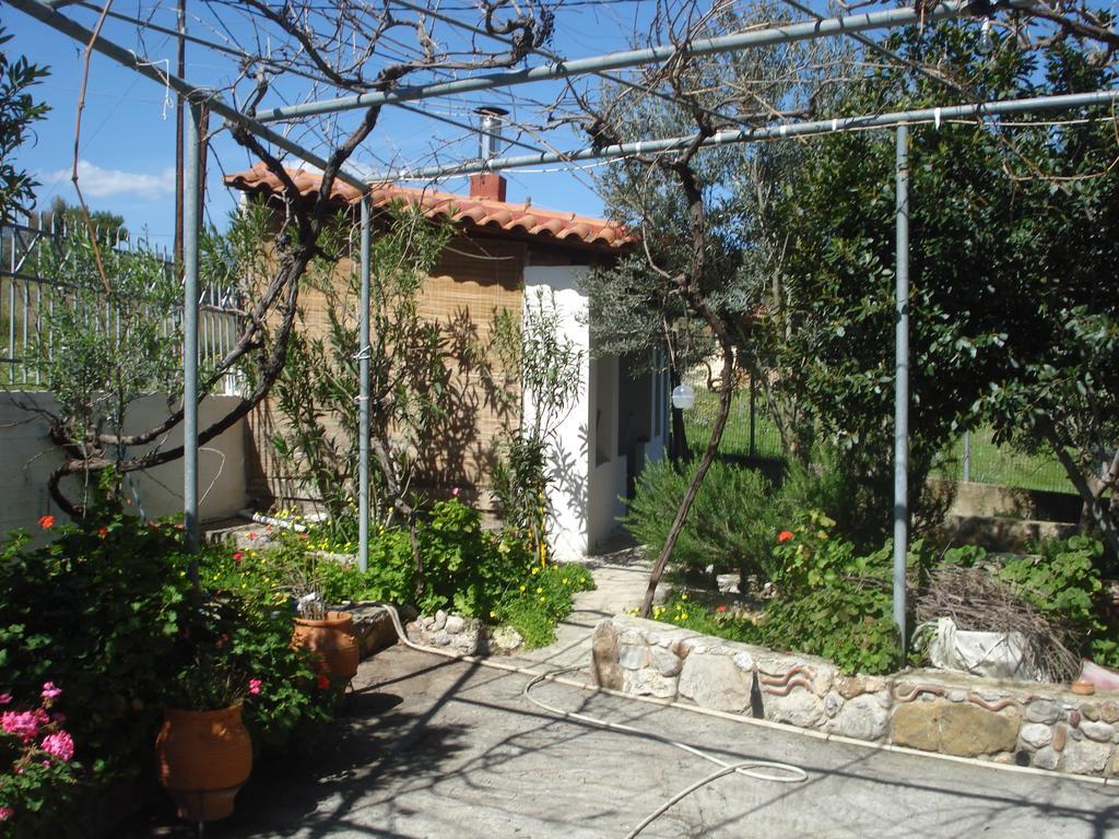 Elea Guesthouse Галаксиди Экстерьер фото