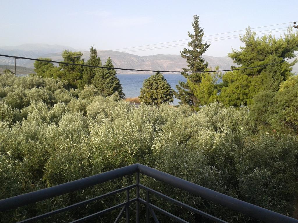 Elea Guesthouse Галаксиди Номер фото